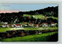 8487 Rämismühle 1913 - Asyl - Teilansicht, gute Erhaltung AK