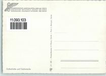 8000 Zürich 1939 - Schweizerische Landesausstellung Fischerhütte und Fischerstube