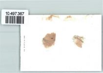 1580 Avenches 1939 FOTO KEINE AK Neujahr Foto 10cm x 7cm, rückseitig Haftspuren