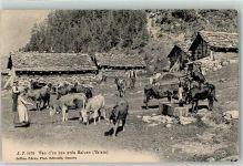 1922 Salvan 1906 - Kühe Brunnen Van d en bas