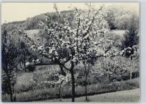 5106 Veltheim AG - Foto ca. 13x18 cm