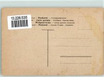 Rigiaussicht Bergbahn