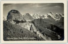 Schynige Platte Foto AK Eiger Mönch Jungfrau AKU1
