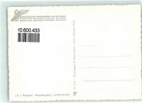 8000 Zürich 1939 - Schweiz Landesausstellung Riesbach Haupteingang Landwirtschaft