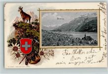 3855 Brienz BE 1902 Lithographie / Prägedruck Passepartout Jagd Gämse Edelweiss Rucksack