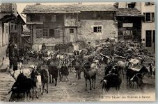 1922 Salvan 1916 Foto AK Ziege