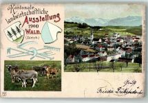 8636 Wald ZH 1900 Foto AK Ausstellung Landwirtschaft
