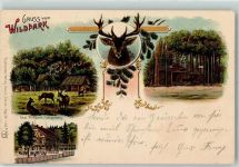 8135 Langnau am Albis 1906 Lithographie Wildpark Langenberg