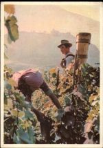 1950 Sion Montorge - AKU2