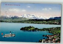 8804 Au ZH 1919 - Raddampfer Halbinsel Zürichsee