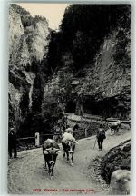 Viamala - Das verlorene Loch Kuhherde