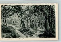 1897 Bouveret - Dans la foret de chataigniers du Bouveret