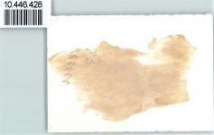 8494 Bauma FOTO KEINE AK Foto 10 cm x 7 cm , rückseitig Haftspuren Winter