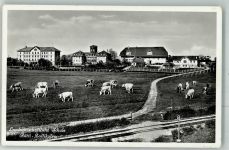 3052 Zollikofen 1941 Foto AK Landwirtschaftliche Schule