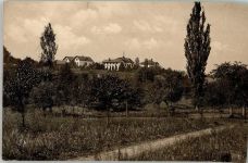 4125 Riehen 1911 Foto AK Sonnenhalde