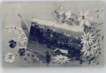 9043 Trogen - Kirche, Ortsansicht