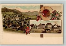 8638 Goldingen BOAKC Lithographie