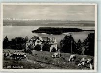 2515 Prêles - Kühe Hotel Pension de l'Ours