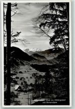 6363 Bürgenstock - Oberbürgental