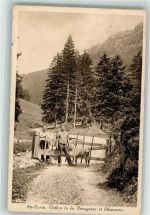 1450 Ste-Croix - Doneyriaz Chasseron Bauer Ziege