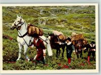 Lithographie Saumkolonne - Historik im 17. Jahrh. - sehr gute Erhaltung AK