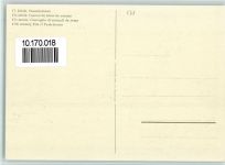 Lithographie Saumkolonne - Historik im 17. Jahrh. - sehr gute Erhaltung AK