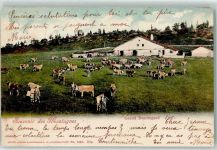 1422 Grandson - Grand Beauregard Kuhherde