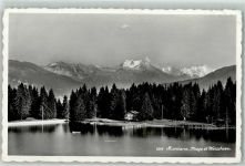 3963 Montana Gebrauchsspuren Plage Weisshorn