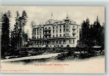 7018 Flims Waldhaus - Hotel Schweizerhof