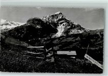 3782 Lauenen b. Gstaad - Spitzhorn