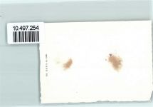 2803 Bourrignon FOTO KEINE AK Neujahr Foto 10cm x 7cm, rückseitig Haftspuren