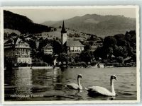 3652 Hilterfingen - Kirche Schwäne