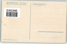 6440 Vierwaldstättersee - Salondampfer Stadt Luzern Schillerstein Mythen