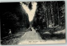 1338 Ballaigues 1908 - Bannwald