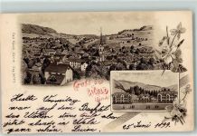 8636 Wald ZH 1899 - Lungen Sanatorium