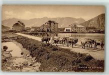 Sankt Gotthard TI - Kuhherde