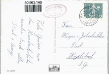 9064 Hundwil - Gasthaus Hundwilerhöhe, Kuh