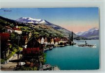 6318 Walchwil 1923 - Teilansicht, gute Erhaltung AK