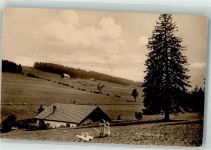 Auf dem Berg Sennhütte Kinder Gänse
