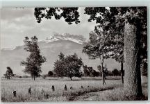 1870 Monthey - Dents du Midi