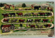 1915 Gebrauchsspuren Prägedruck Edition Guggenheim Abtrieb Heimkehr von der Alp