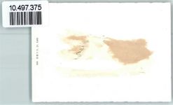 8627 Grüningen 1939 FOTO KEINE AK Schloss Baumwiese Neujahr Foto 10cm x 7cm, rückseitig Haftspuren