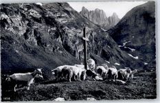 Alpstein - Kreuzberge