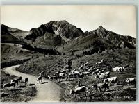 3132 Riggisberg - Bürglen Ochsen Kuhherde