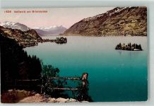 3807 Iseltwald Foto AK Brienzersee