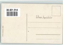 3807 Iseltwald Foto AK Brienzersee