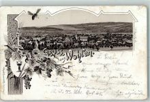 5610 Wohlen AG 1898 Gebrauchsspuren Lithographie Biene Trauben