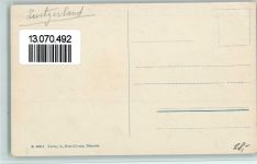 7180 Disla Disentis - Teilansicht, Blick ins Rheintal, Verlag Nutt-Livers Nr. 06371, gute Erhaltung AK