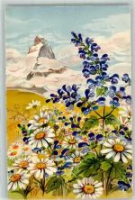 Matterhorn VS - Wucherblume und Wiesensalbei