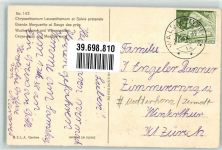 Matterhorn VS - Wucherblume und Wiesensalbei